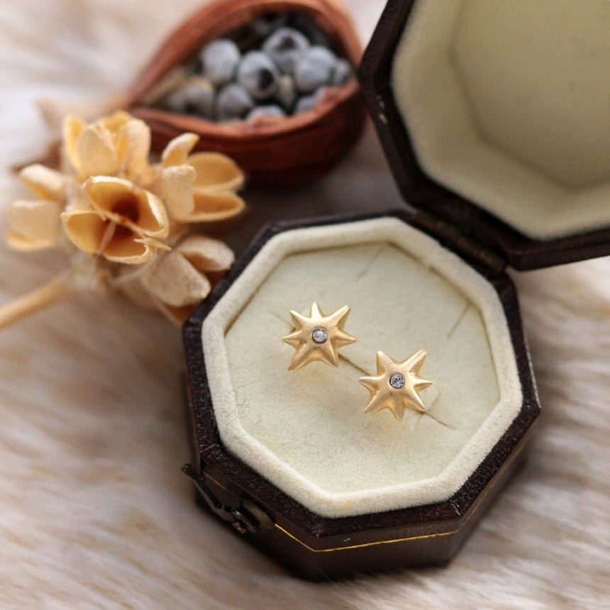 いちばん星のピアス/イヤリング